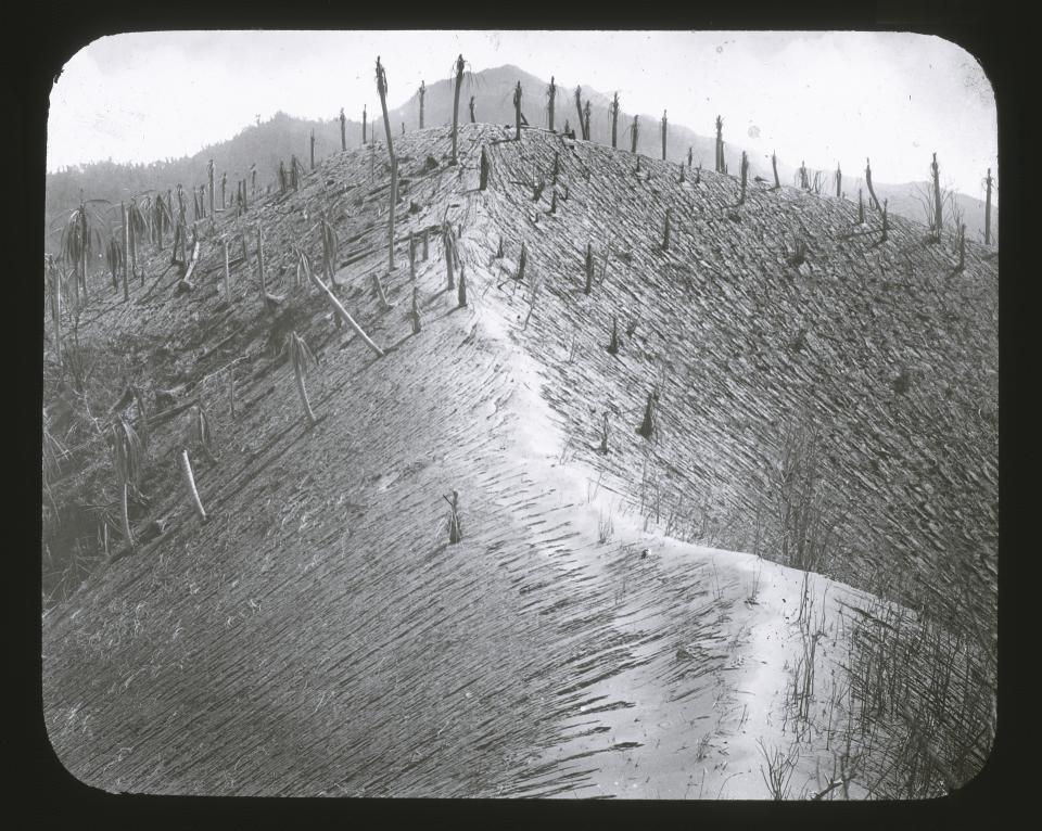 In this 1902 photo provided by York Museums Trust, the seared landscape is seen following the eruptions of La Soufrière, a volcano on the island of St. Vincent in the Caribbean. The 1902 catastrophe is a reminder that St. Vincent recovered from massive eruptions in the past. (Tempest Anderson/York Museums Trust via AP)