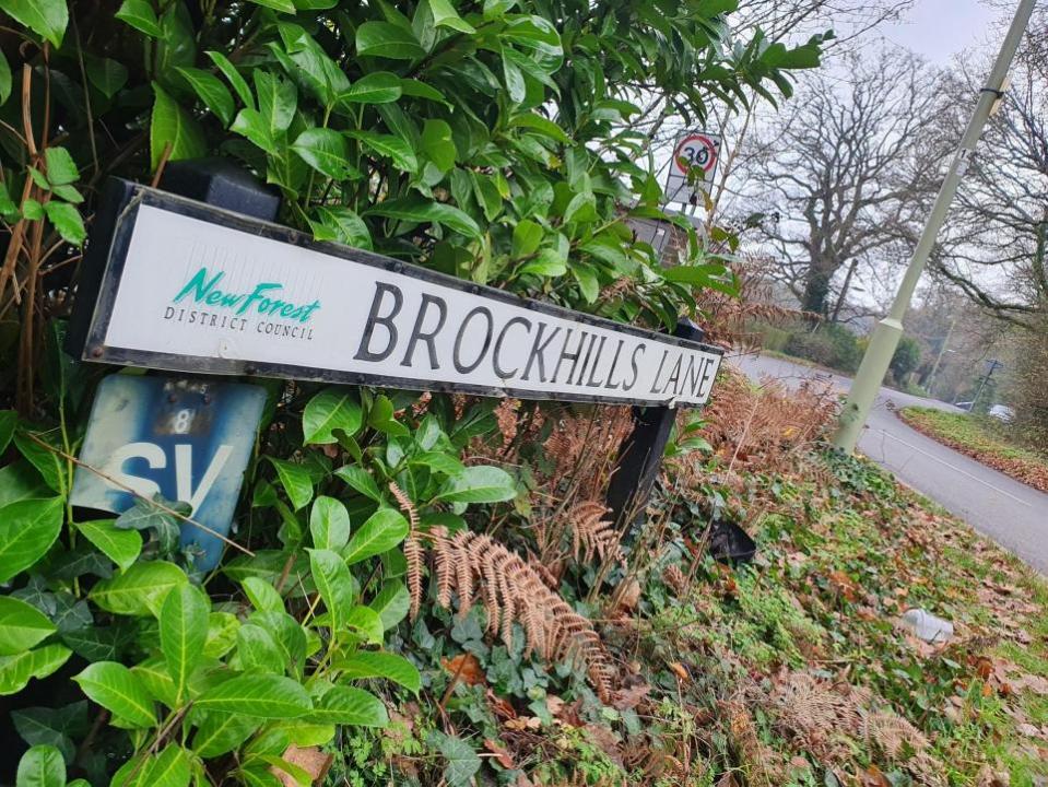 Bournemouth Echo: Brockhills Lane in New Milton