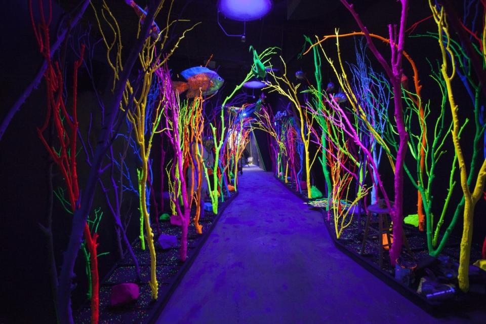 An installation at Meow Wolf in Santa Fe, New Mexico (Tourism Santa Fe)