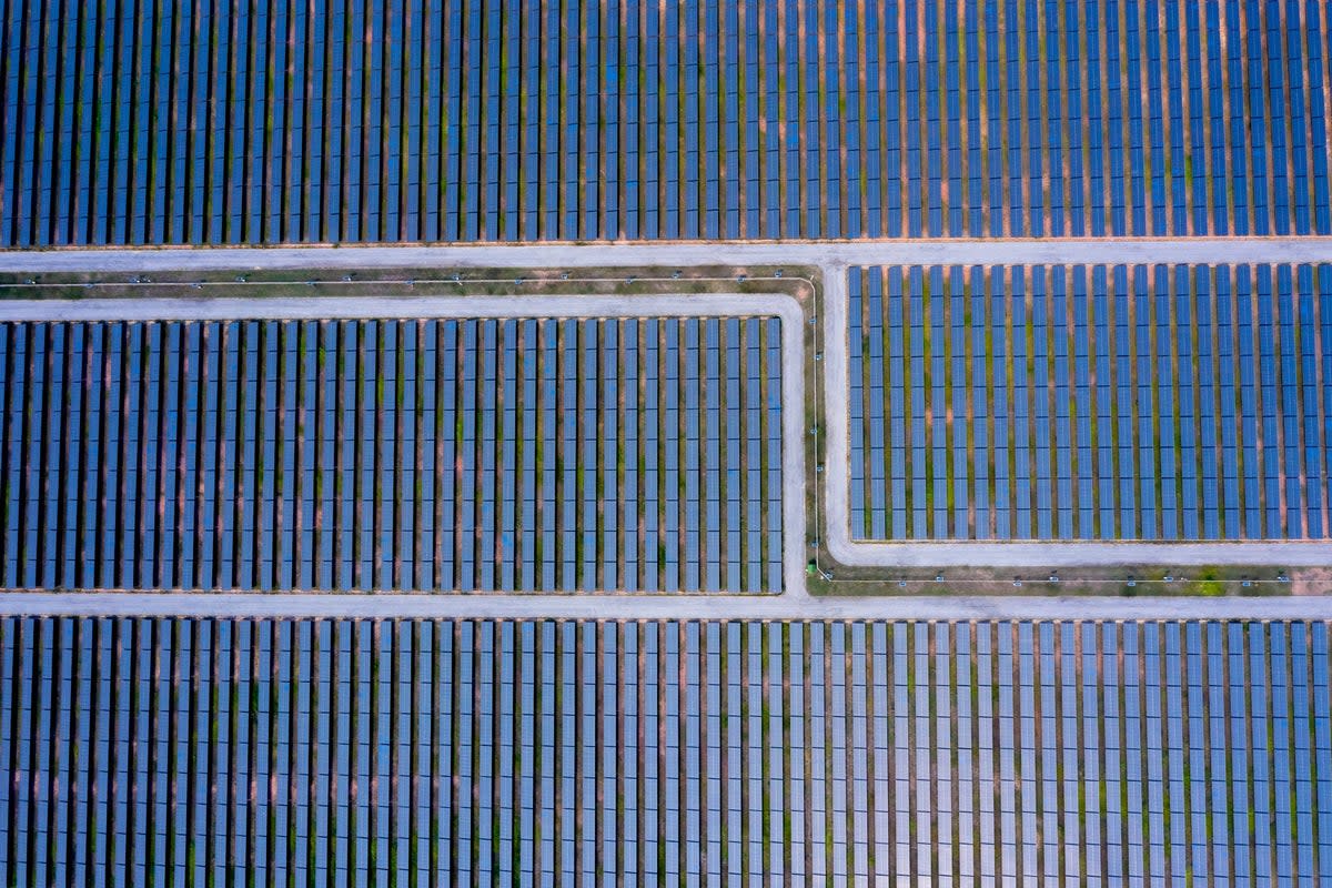 Combining solar panels with ‘shadow-friendly’ crops can significantly increase a land’s production potential, researchers say (iStock/ Getty images)