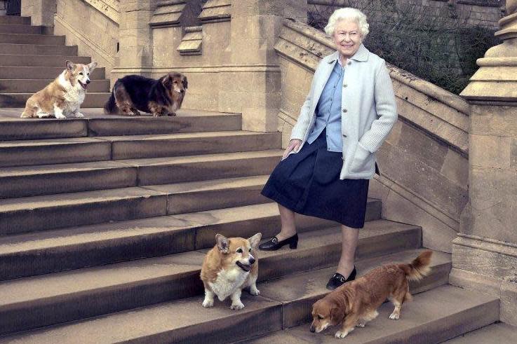 The Queen pictured on her 90th birthday, Willow at the top of the steps on the left: PA