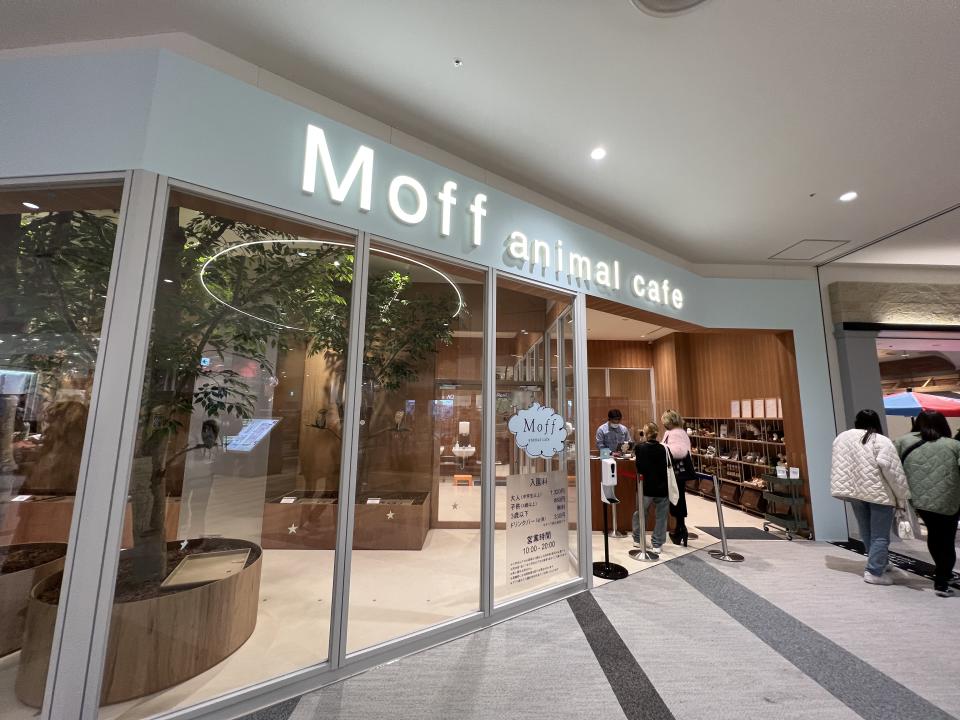 全日本設有二十多間分店的Moff animal cafe，首次進駐大阪地區。
