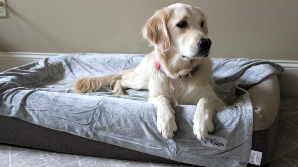 Best gifts for dog lovers: PetFusion Premium Pet Blanket