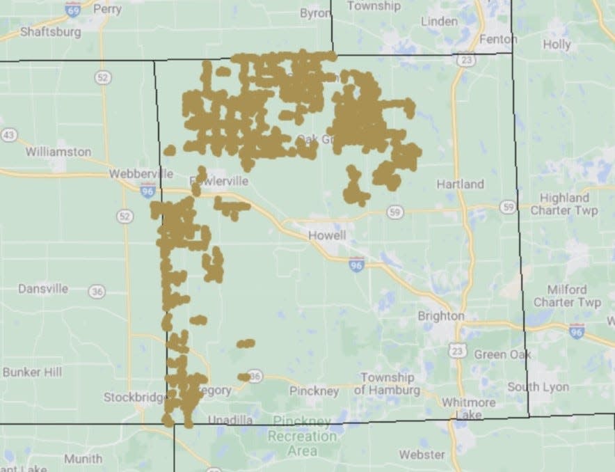 A still photo capture of an interactive map of internet expansion projects that have been awarded Michigan "ROBIN" grant funding shows Surf Internet's expansion plans in Livingston County.