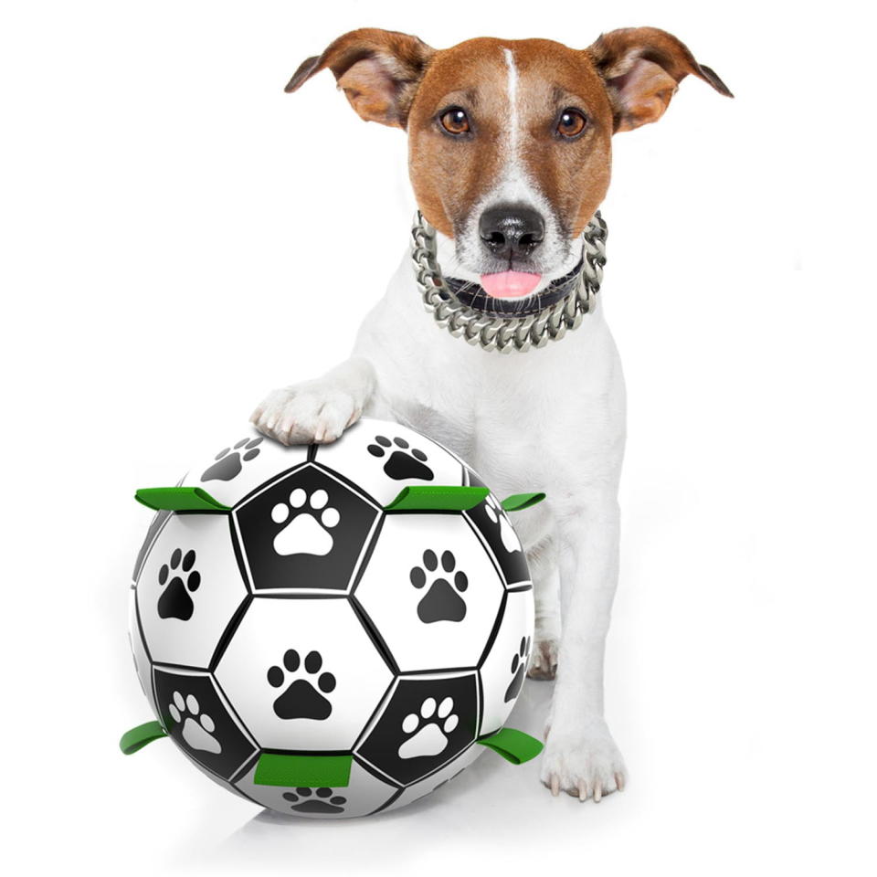 <p><a href="https://go.redirectingat.com?id=74968X1596630&url=https%3A%2F%2Fwww.walmart.com%2Fip%2FDog-Soccer-Ball-with-Grab-Tabs-Interactive-Dog-Toys-for-Tug-of-War-Dog-Tug-Toy-Dog-Water-Toy-Durable-Dog-Balls-for-Small-Medium-Dogs%2F643575984&sref=https%3A%2F%2Fwww.womansday.com%2Flife%2Fpet-care%2Fg44549725%2Fbest-dog-gifts%2F" rel="nofollow noopener" target="_blank" data-ylk="slk:Shop Now;elm:context_link;itc:0;sec:content-canvas" class="link ">Shop Now</a></p><p>Dog Soccer Ball with Grab Tabs</p><p>walmart.com</p><p>$15.99</p>