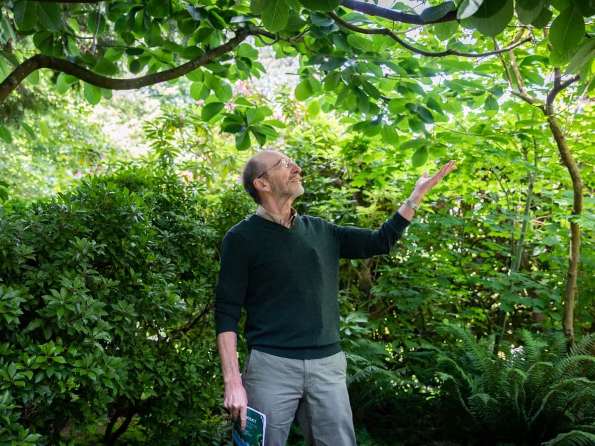 Professor emeritus Stephan Sheppard says building and preserving urban tree canopy is the best and cheapest way to cool whole neighbourhoods.  (Justine Boulin/CBC - image credit)