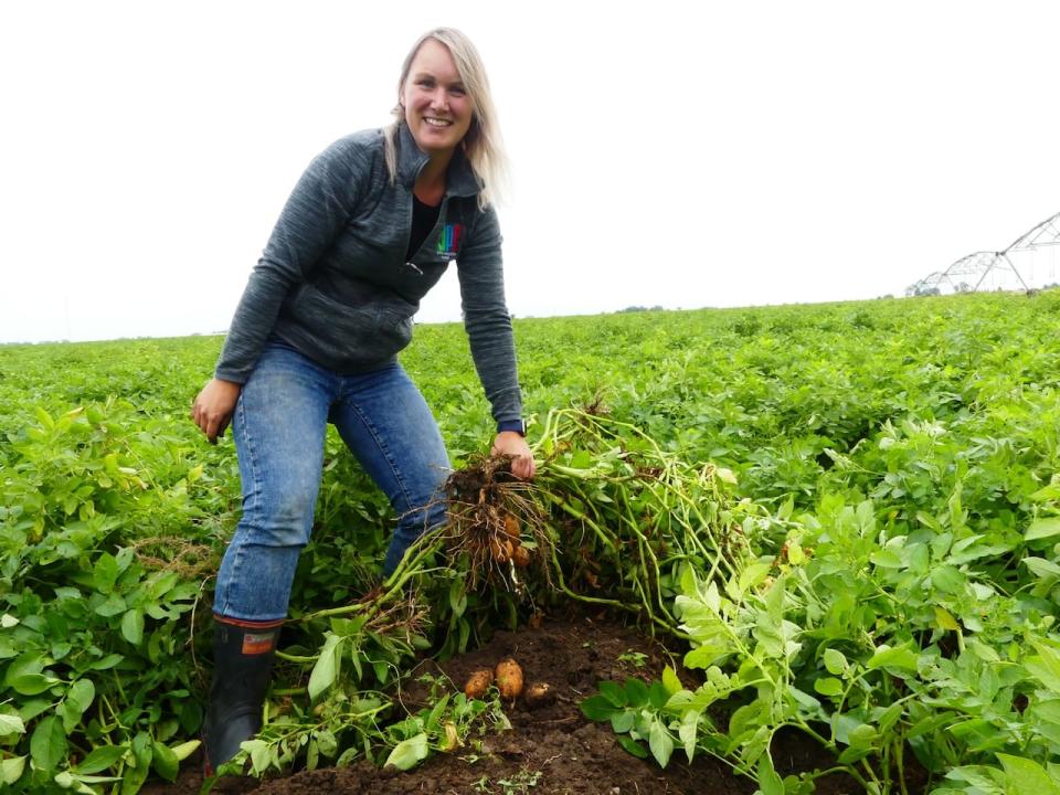 Alison Davie, who owns North Paddock Farms in Taber, Alta. said her potato harvest went "pretty well," despite hot temperatures at her farm. 