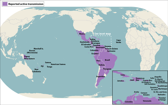 Countries and territories with active Zika virus transmission (as of July 26, 2016).