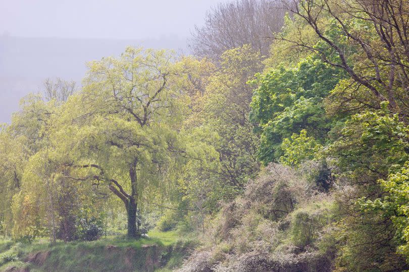 The sun backlighting rain clouds as a weather front moves down the Avon Gorge in Bristol, Friday  19 April 2024