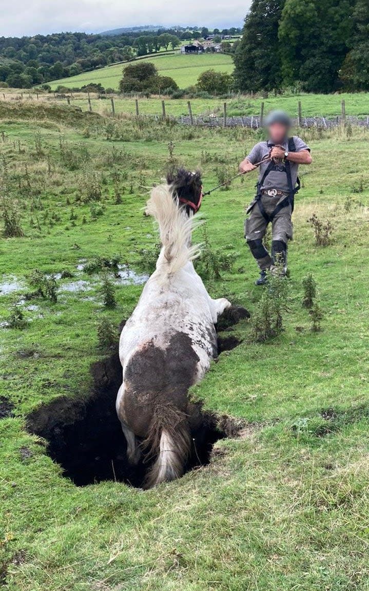 Firefights then created a step which 'assisted the horse in self rescuing and was able to get back on its hooves' - County Durham Fire & Rescue/SWNS 