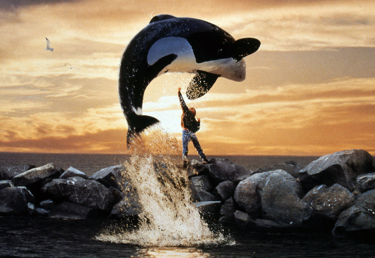 Sauvez Willy Free Willy 1993 Real  Simon Wincer Jason James Richter. Collection Christophel © Regency Enterprises / Alcor Films