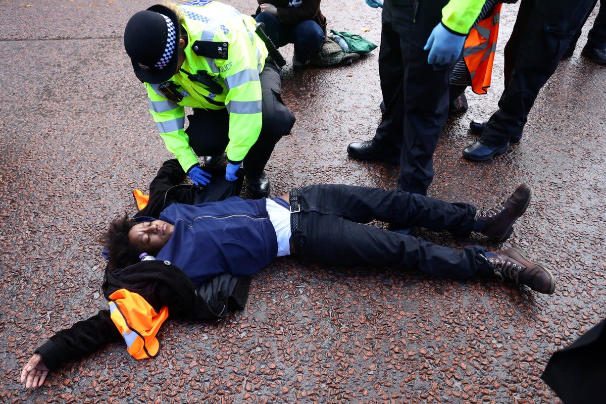 Police officers search and detain a demonstrator during a 'Just Stop Oil' protest outside Buckingham Palace (Reuters)