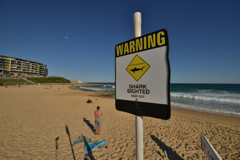 Beaches closed after Australia shark sightings