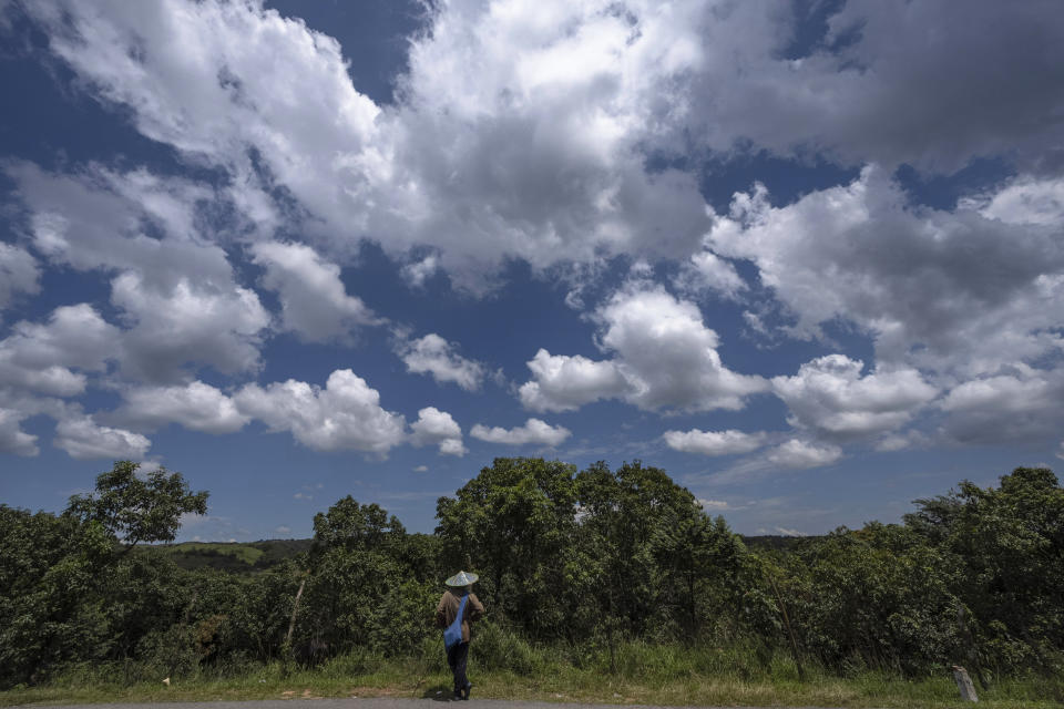 Un hombre de la tribu jaintia está frente a un bosque sagrado en Kaintia Hills, una zona montañosa escasamente poblada de Meghalaya, un estado del noreste de la India, 6 de setiembre de 2023. (AP Foto/Anupam Nath)