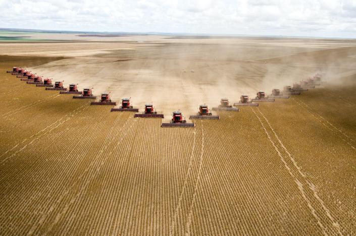 Harvesting soybeans in Mato Grosso, Brazil. Brazil exports soybeans and uses them domestically to make animal feed and biodiesel. <a href="https://www.gettyimages.com/detail/news-photo/soybeans-are-harvested-at-fartura-farm-in-mato-grosso-state-news-photo/542626248" rel="nofollow noopener" target="_blank" data-ylk="slk:Paulo Fridman/Corbis via Getty Images;elm:context_link;itc:0" class="link ">Paulo Fridman/Corbis via Getty Images</a>