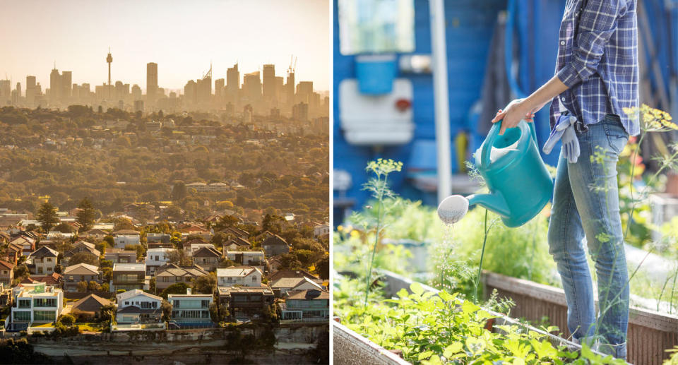 Pictured is Sydney's skyline from the Eastern Suburbs (left) and a woman with a watering can watering plants (right). 