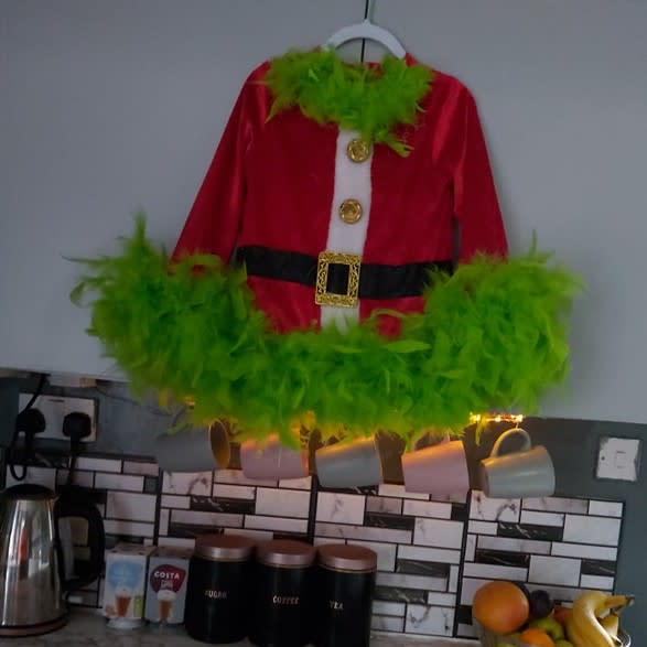 Joshua's Grinch costume (Photo: Cassie Middleton)