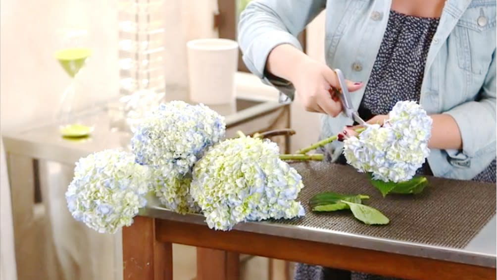 Make hydrangeas last longer