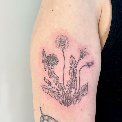 <p><a href="https://www.instagram.com/wildflowers.tattoo/?hl=en" data-component="link" data-source="inlineLink" data-type="externalLink" data-ordinal="1">@wildflowers.tattoo</a></p>