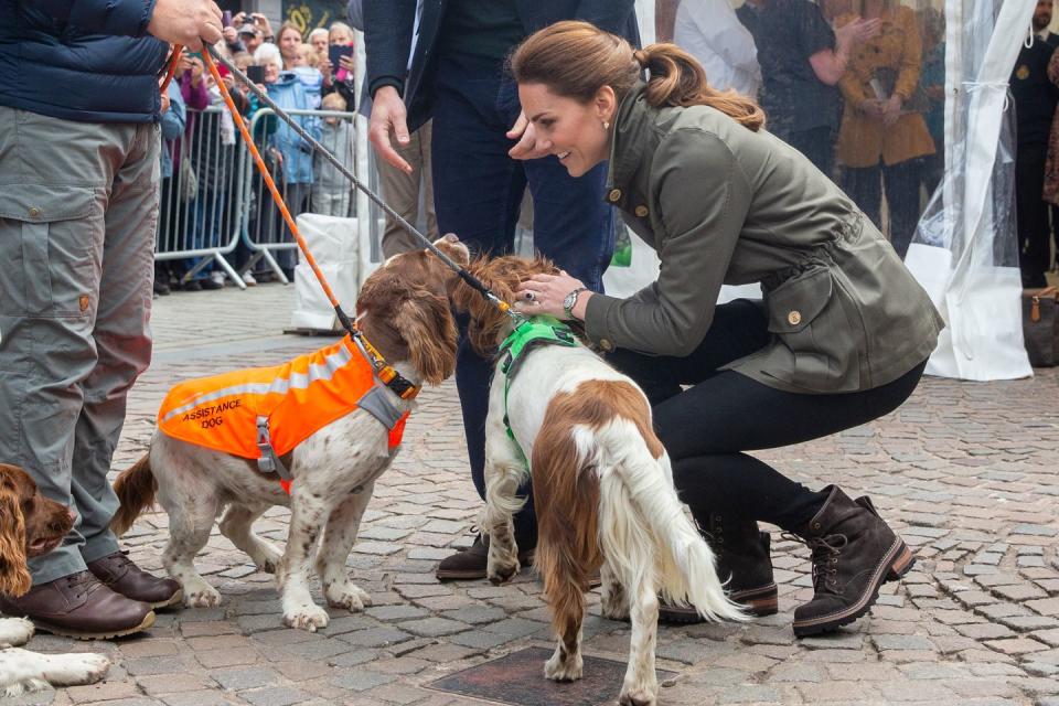 keswick, england june 11 catherine, duchess of cambridge pets some dogs named max, paddy, and harry as she meet members of the public they visit keswick market place during a visit to cumbria on june 11, 2019 in keswick, england the royal couple visited keswick to join a celebration to recognise the contribution of individuals and local organisations in supporting communities and families across cumbria they then went on to visit a traditional fell sheep farm photo by andy commins wpa poolgetty images