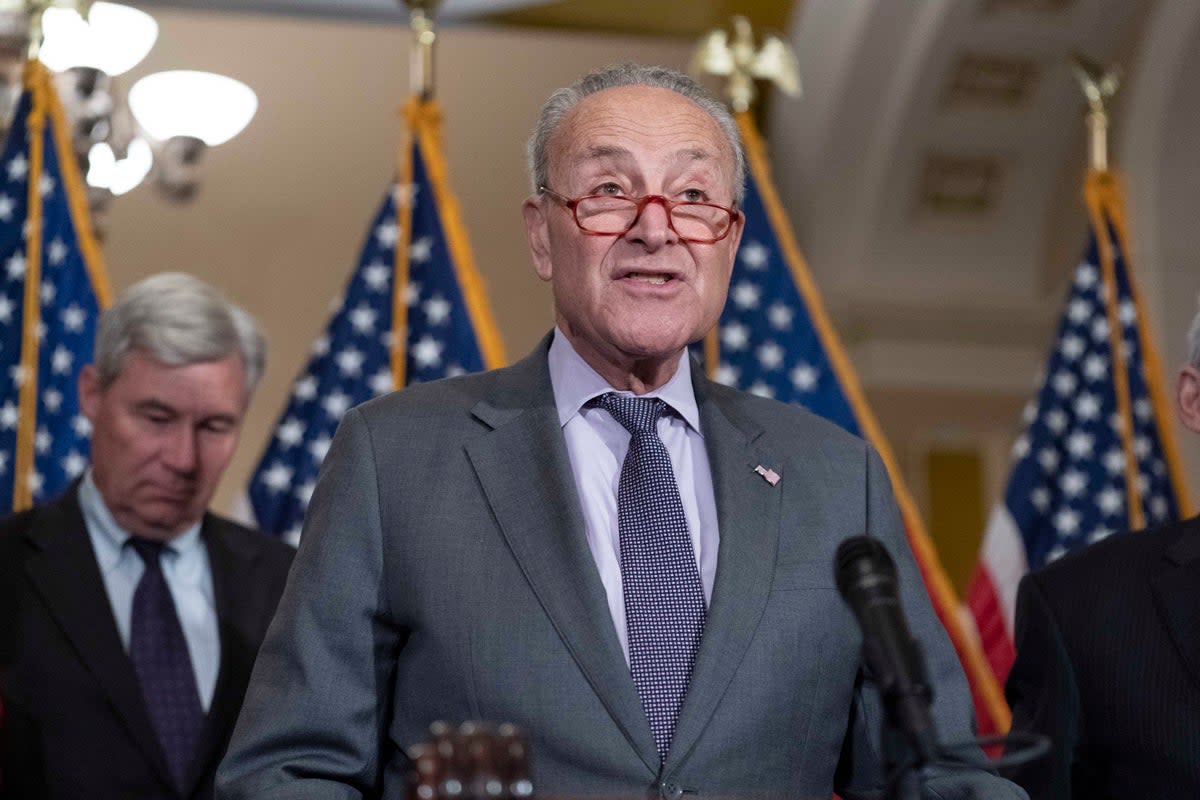 Senate Majority Leader Chuck Schumer at a press conference on Tuesday (AP)