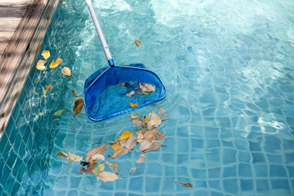 A dark blue pool net sweeps up leaves and debris out of swimming pool.