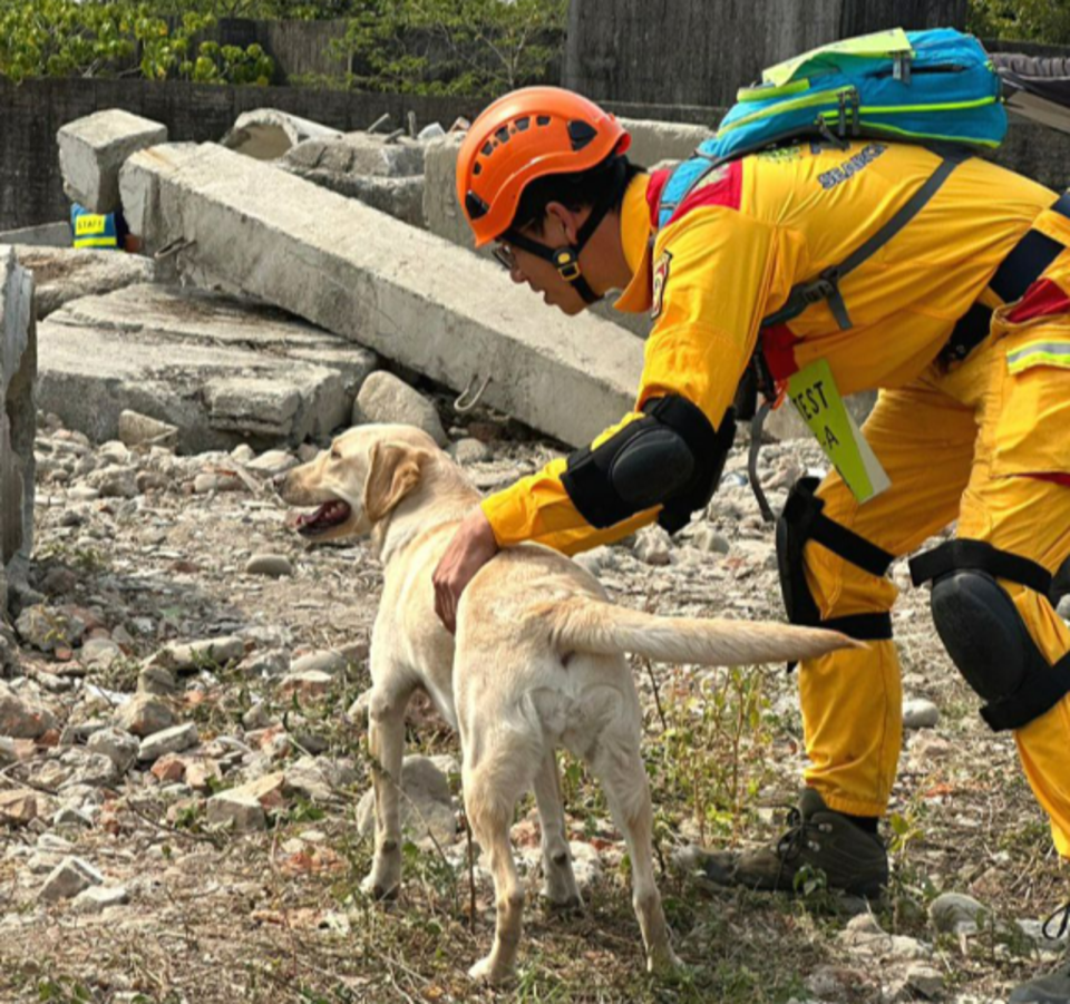 為災害搶救提供實質幫助，消防署將持續推動及整合災害搜救犬的培訓工作，並定期辦理搜救犬評量檢測及研習。（翻攝消防署官網）