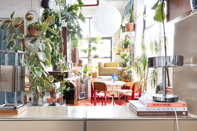 Chrome lamp on top of stacked books in plant filled apartment.