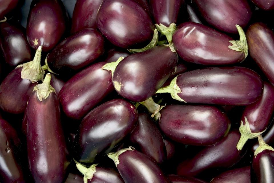 eggplant