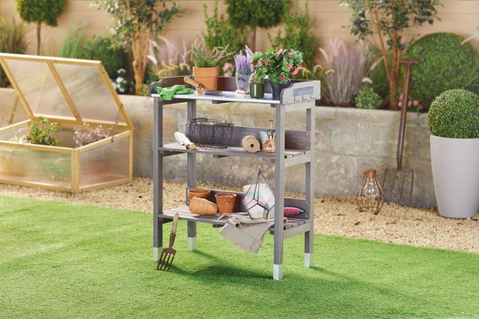 aldi launches garden range in time for spring