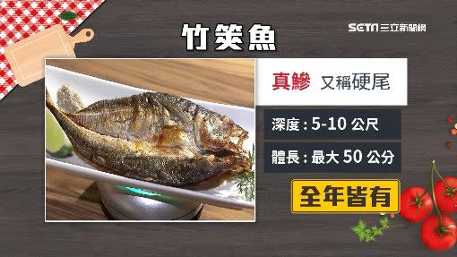 竹筴魚是鯓魚的一種又叫做「硬尾」，全年都有蹤影。