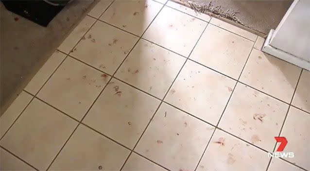 A blood spatter inside the Scarborough home. Source: 7 News