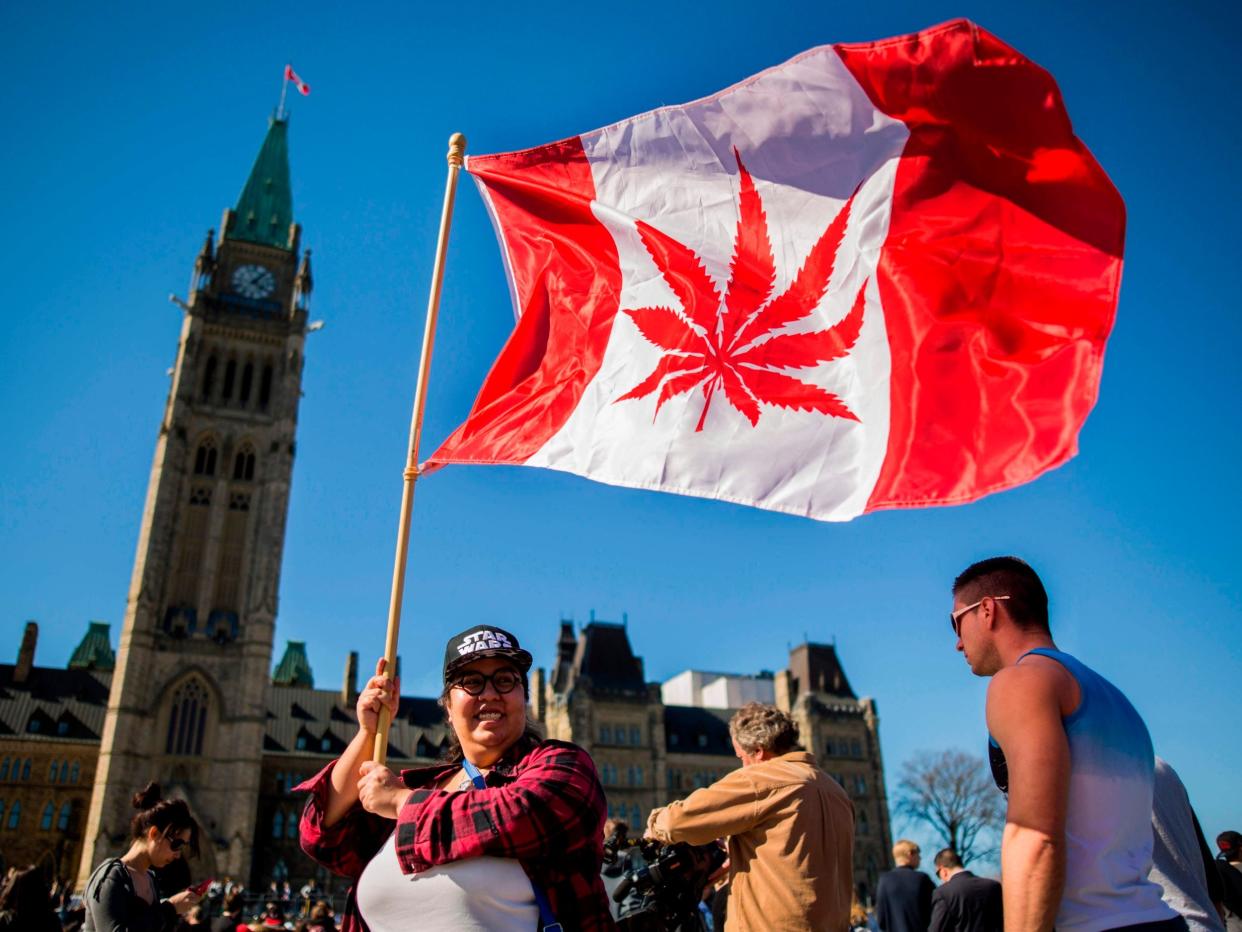 A campaigner waves a flag at a National Marijuana Day gathering in 2016 on Parliament Hill in Ottawa, Canada: AFP/Getty Images