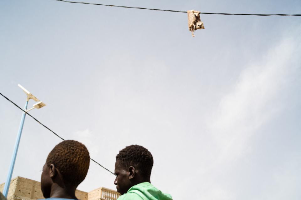 <p>Este pasatiempo inusual y cruel se produce en un país que es uno de los más pobres del mundo, con movimientos insurgentes y conflicto permanente. (Photo by FLORENT VERGNES/AFP via Getty Images)</p> 