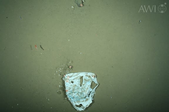 Photo of plastic waste, taken by the Ocean Floor Observation System (OFOS) in the HAUSGARTEN area in July 2012.