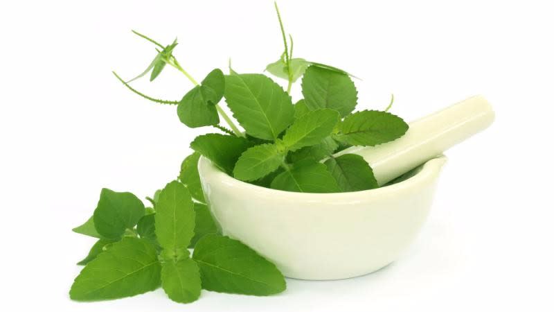 Tulsi is used in several dishes for flavour, taste and health benefits. 