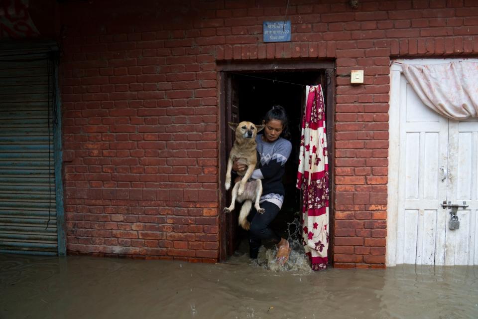 2024年7月6日，尼泊爾加德滿都降下豪雨，巴格馬蒂河（Bagmati River）氾濫，一名婦女從家裡救出狗。美聯社