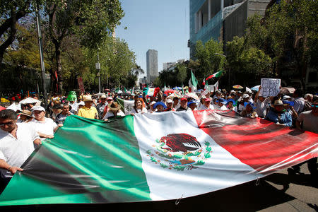 Demonstrators hold a banner with an image of the Mexican flag during a march to protest against U.S. President Donald Trump's proposed border wall, and to call for unity, in Mexico City, Mexico, February 12, 2017. REUTERS/Ginnette Riquelme