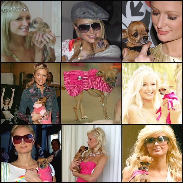 Paris Hilton's beloved purse companion has passed away. The 34-year-old socialite annoced to her 4.1 million Instagram followers on Tuesday that her Chihuahua Tinkerbell had died. "My heart is broken. I am so sad and devastated," Hilton wrote in an emoji-filled message. "After 14 amazing years together, my baby Tinkerbell has passed away of old age." "I feel like I've lost a member of my family," she continued. "She was such a special and incredible soul. We went through so much together. I can't believe she's gone. I will miss her and think about her for the rest of my life. I love you Tinky, you are a Legend & will never be forgotten. #RIPTinkerbell." <strong> PHOTOS: Stars Share Pics of Their Pets </strong> Hilton then began to post numerous photos of her and Tinkerbell's adventures together -- including photo shoots, red carpets and television appearances. "Tinkerbell lived a glamorous life," she captioned a Guess ad of her and the dog. Back in 2004, Hilton had a scare when Tinkerbell went missing. The hotel heiress offered a $5,000 reward for her pet's safe return. The dog was eventually retrieved without explanation. That same year, the satirical book <em> Tinkerbell Hilton Diaries: My Life Tailing Paris Hilton</em>, was also released. <strong> NEWS: Paris Hilton Named Her New Puppy After Herself</strong> Hilton and Tinkerbell are also credited with the trend referred to as "handbag dogs." In the words of Hilton, "#RIPTinkerbell."