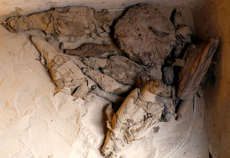 Mummified falcons and other bird species are found inside the newly discovered burial site, Tomb of Tutu, at al-Dayabat, Sohag, Egypt April 5, 2019. REUTERS/Mohamed Abd El Ghany
