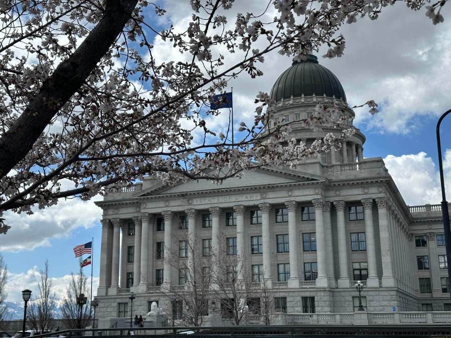 Cherry blossoms at Utah State Capitol, April 2024