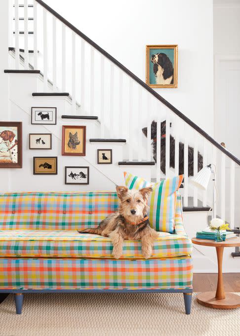 plaid sofa in front of staircase with dog decor rescue dogs bedford and gibson