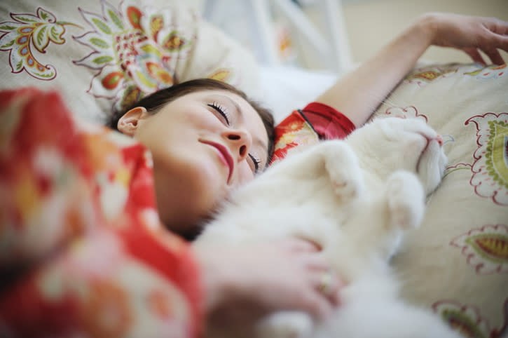 Los gatos tendrían comportamientos muy peculiares a la hora de dormir. – Foto: Dornveek Markkstyrn / Getty Images