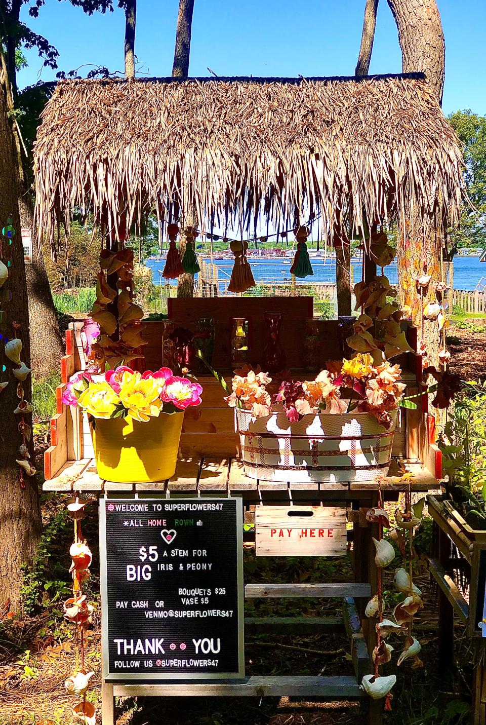 The Supoerflowers stand. - Credit: courtesy of marianne diorio