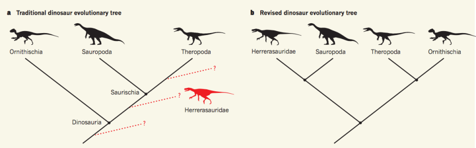 dinosaur family tree