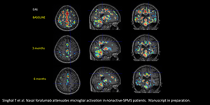 Six-Month PET Scan