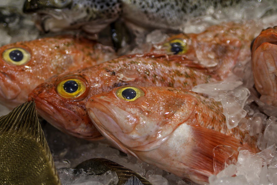 Orange roughy fish on ice in Sydney. 