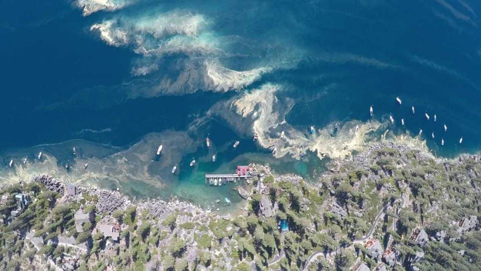 Pollen is seen blanketing a part of Lake Tahoe during an aerial photo taken in the summer of 2022. Researchers from UC Davis’ Tahoe Environmental Research Center said in their 2023 State of the Lake report that clarity is improving but other environmental shifts are on the horizon for the nation’s largest alpine lake.