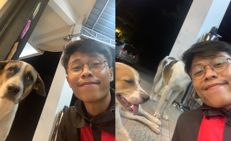 Ridhuan couldn’t believe that the dog managed to find him at his workplace. — Picture via Twitter/@AtukNature.