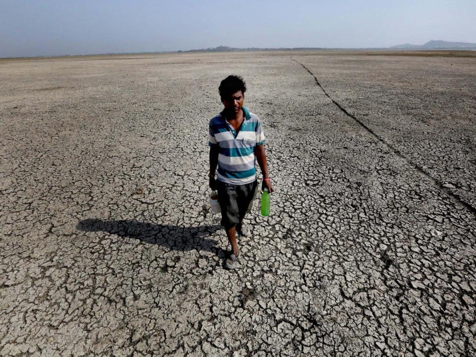 A man searching for drinking water walks on a dried-up portion of Asia's biggest lake, Upper Lake, after it shrunk during a heatwave in India. (Sanjeev Gupta/EPA)